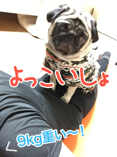 よっこいしょ