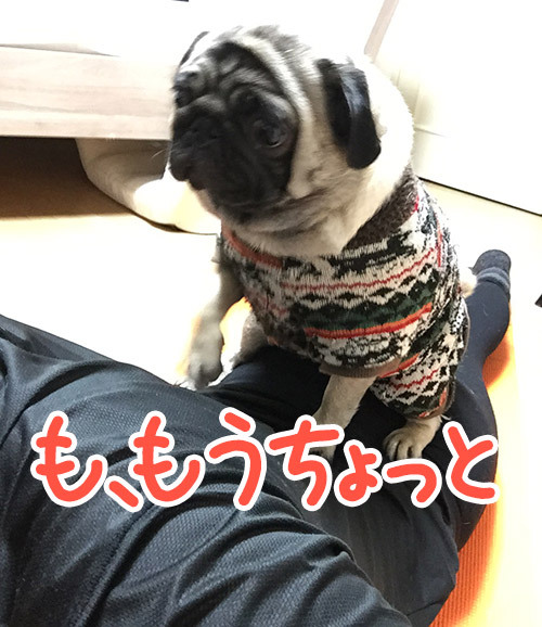 もうちょっと